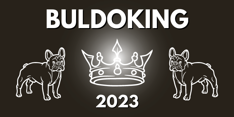 buldoking_2023 (1)